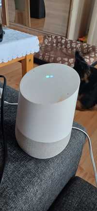 Głośnik google home