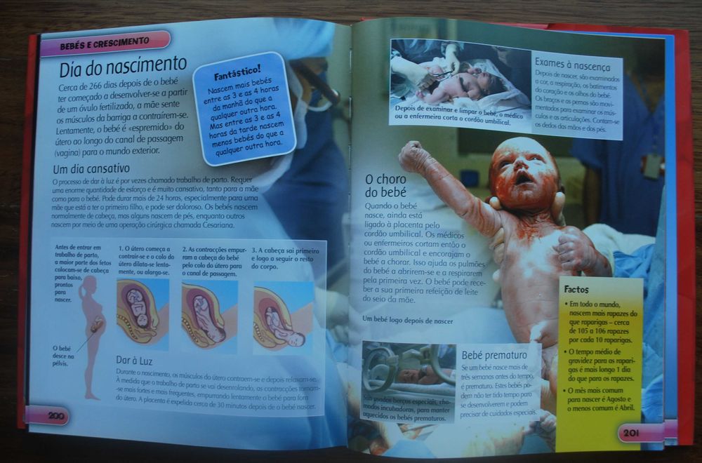 A Enciclopédia do Corpo Humano (A Partir 8 Anos)