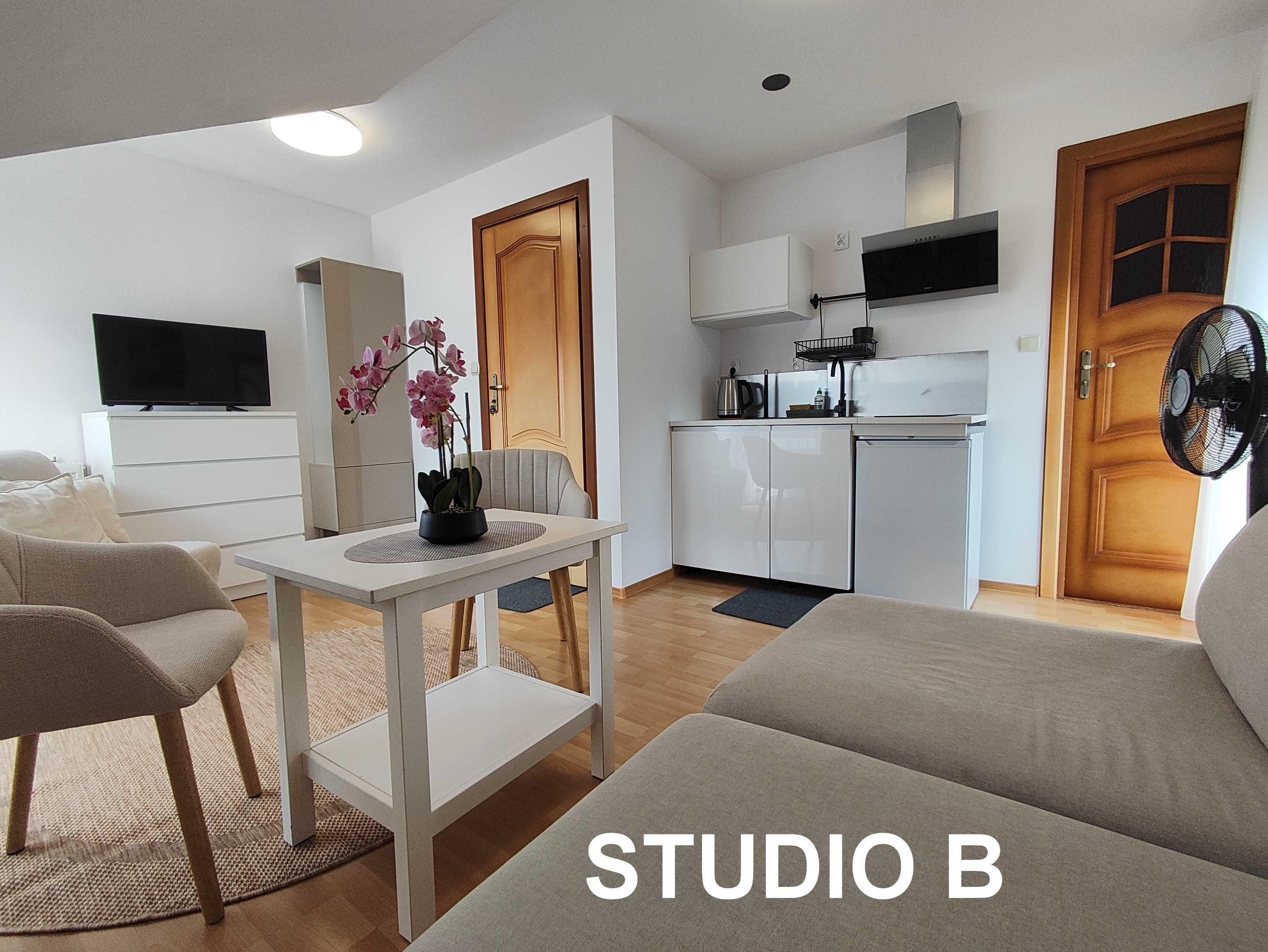 Apartament , kwatery, pokoje, noclegi, góry,  jezioro,  las, żar,