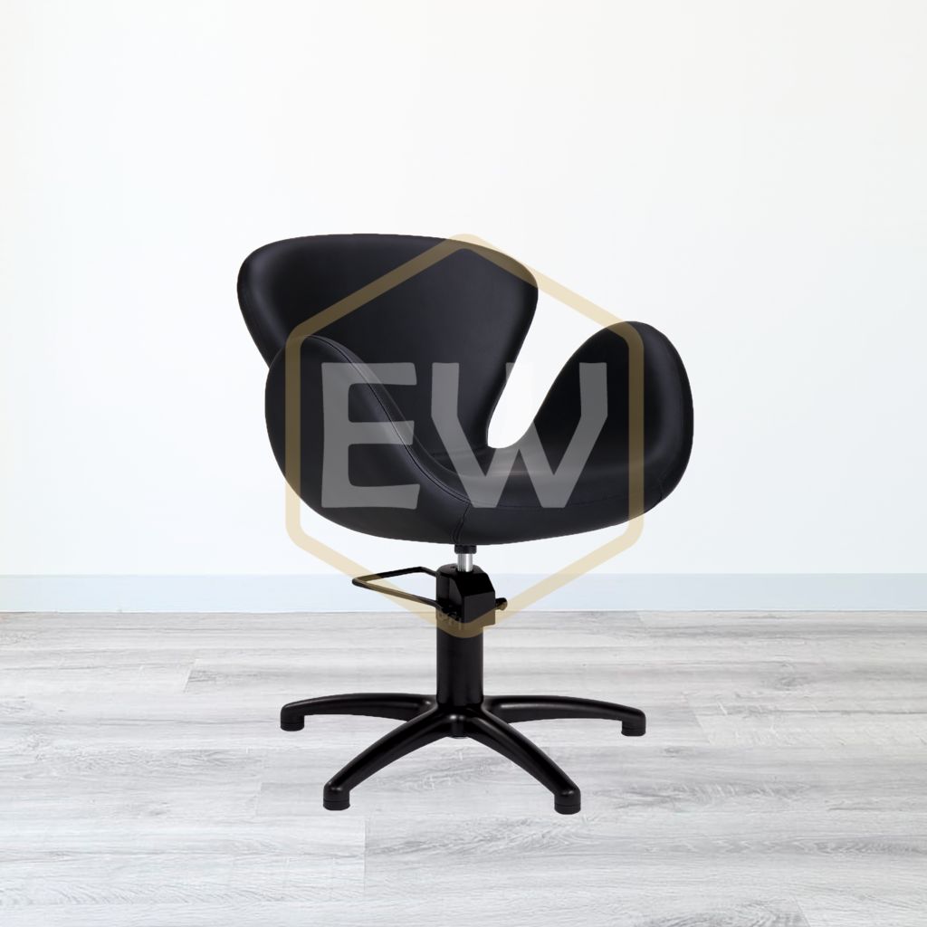 Cadeira de Cabeleireiro EWMI-OE-BF-0210