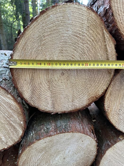 Drewno bale pieńki sosna