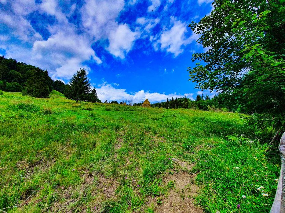 Продам Землю Карпаты Косовский район Ивано-Франковска область