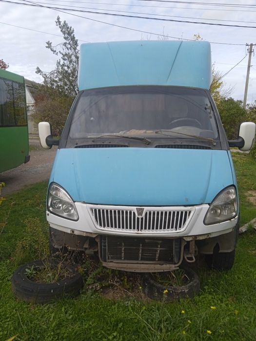 Продаю Руту 20 зелена