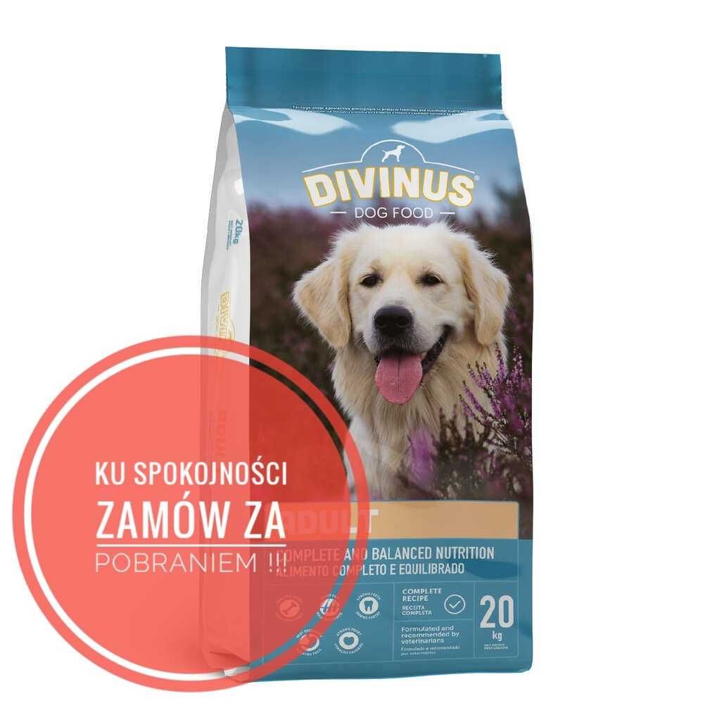 Divinius adult dla psów  20KG-darmowa wysylka-Pobranie GLS,INPOST