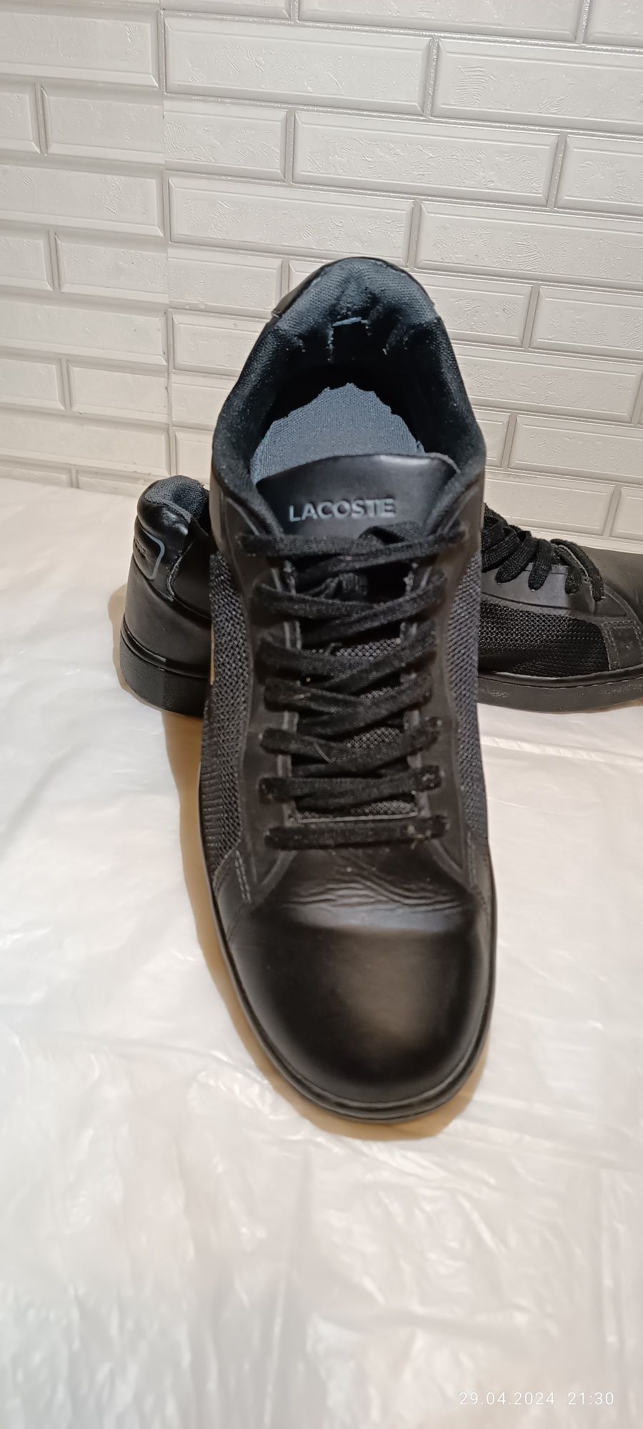 Чоловічі кросівки Lacoste original