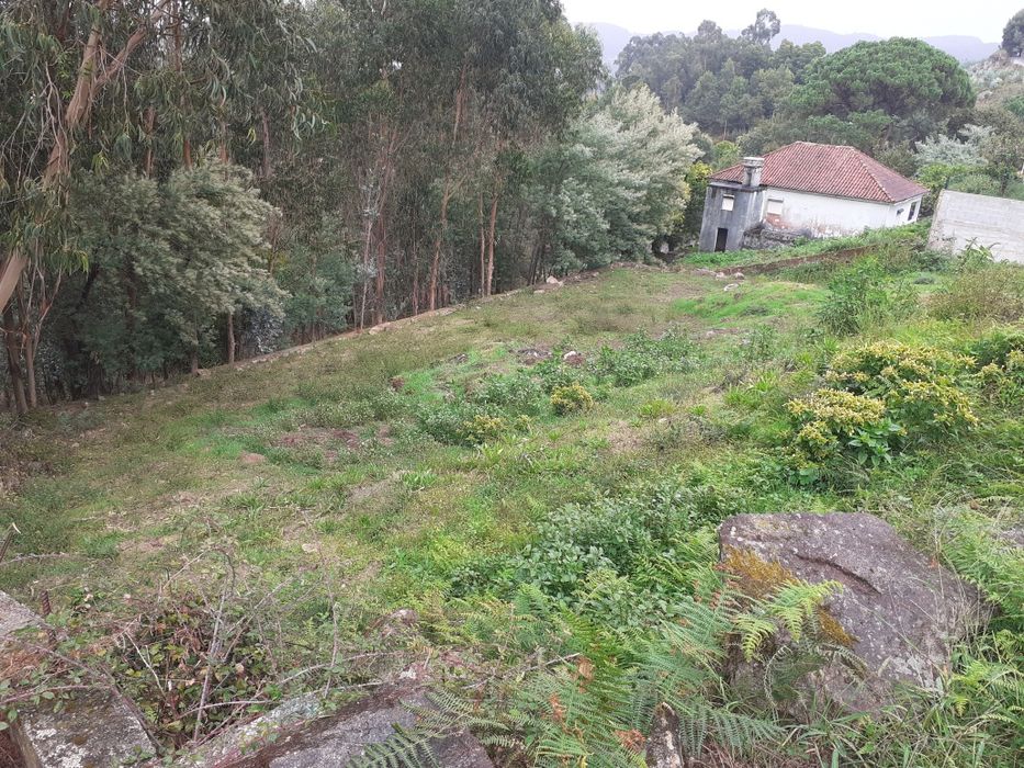 Terreno 970m2 aguiar união freguesias Quintiães