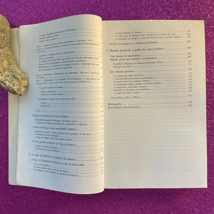 A Vida é Bela - Stephen Jay Gould (portes incluídos)