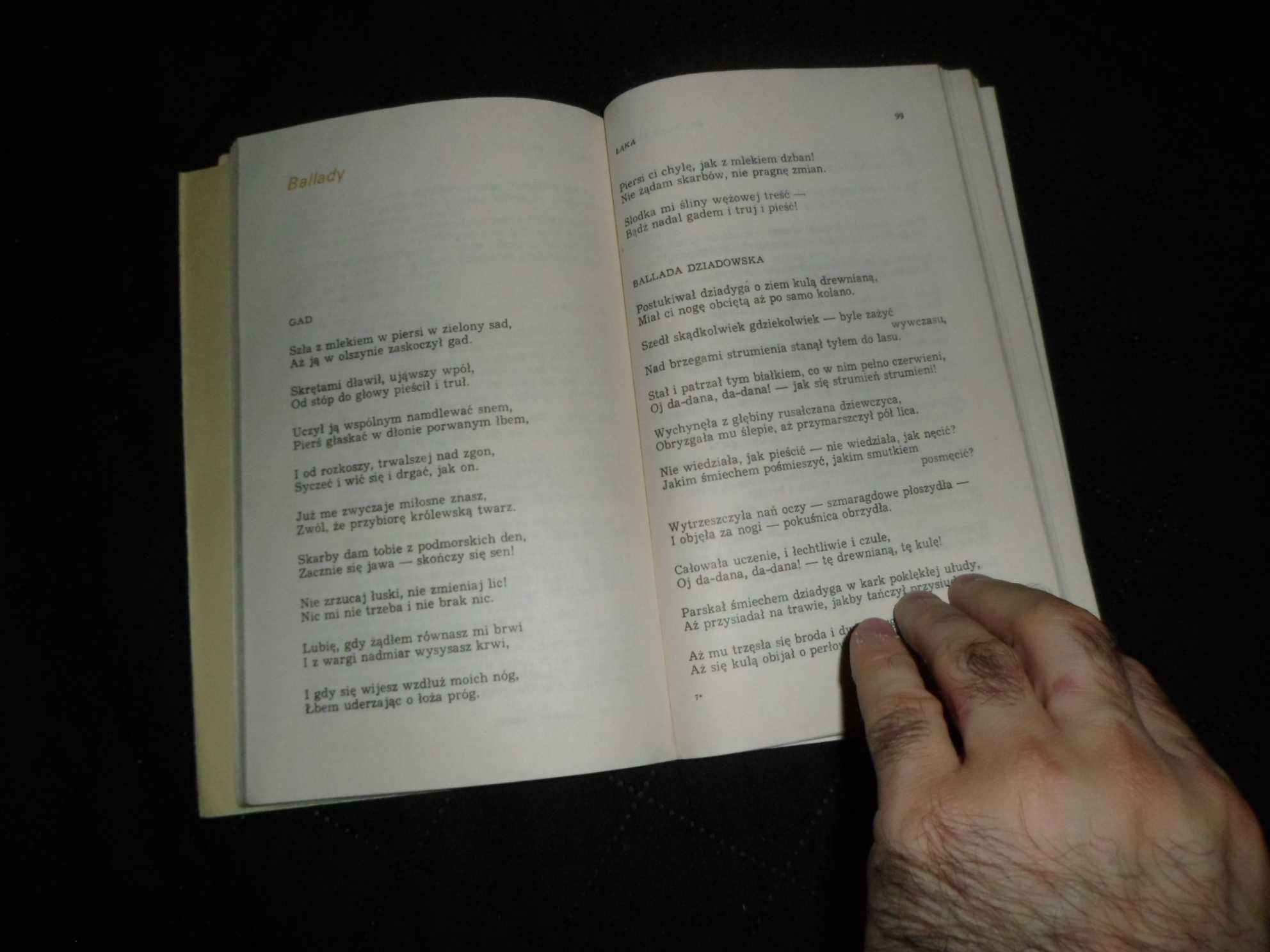 Bolesław Leśmian - Poezje