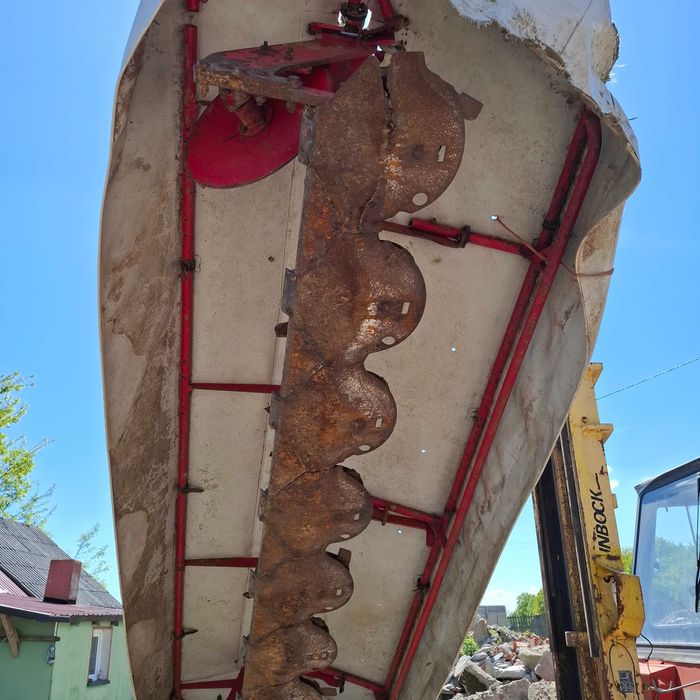 Byk, krowy, cielaki ZAMIANA