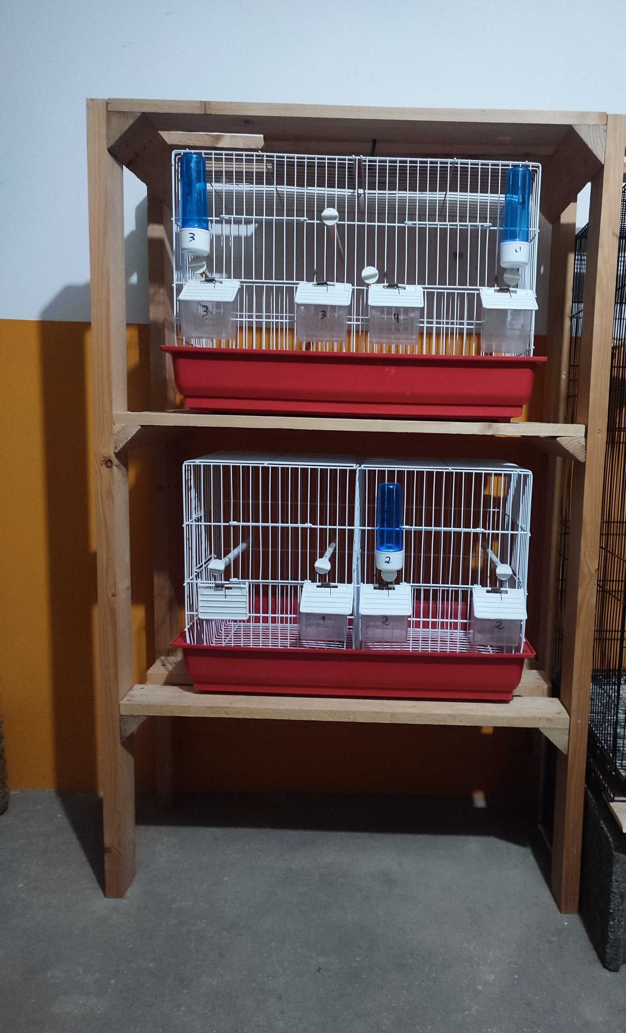 Gaiolas + Estantes + Canarios