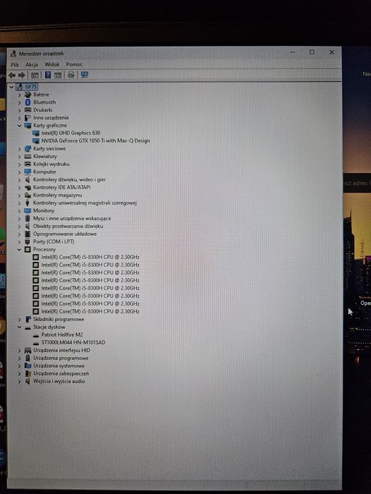 Laptop gamingowy MSI GF75 Thin 8RD używany