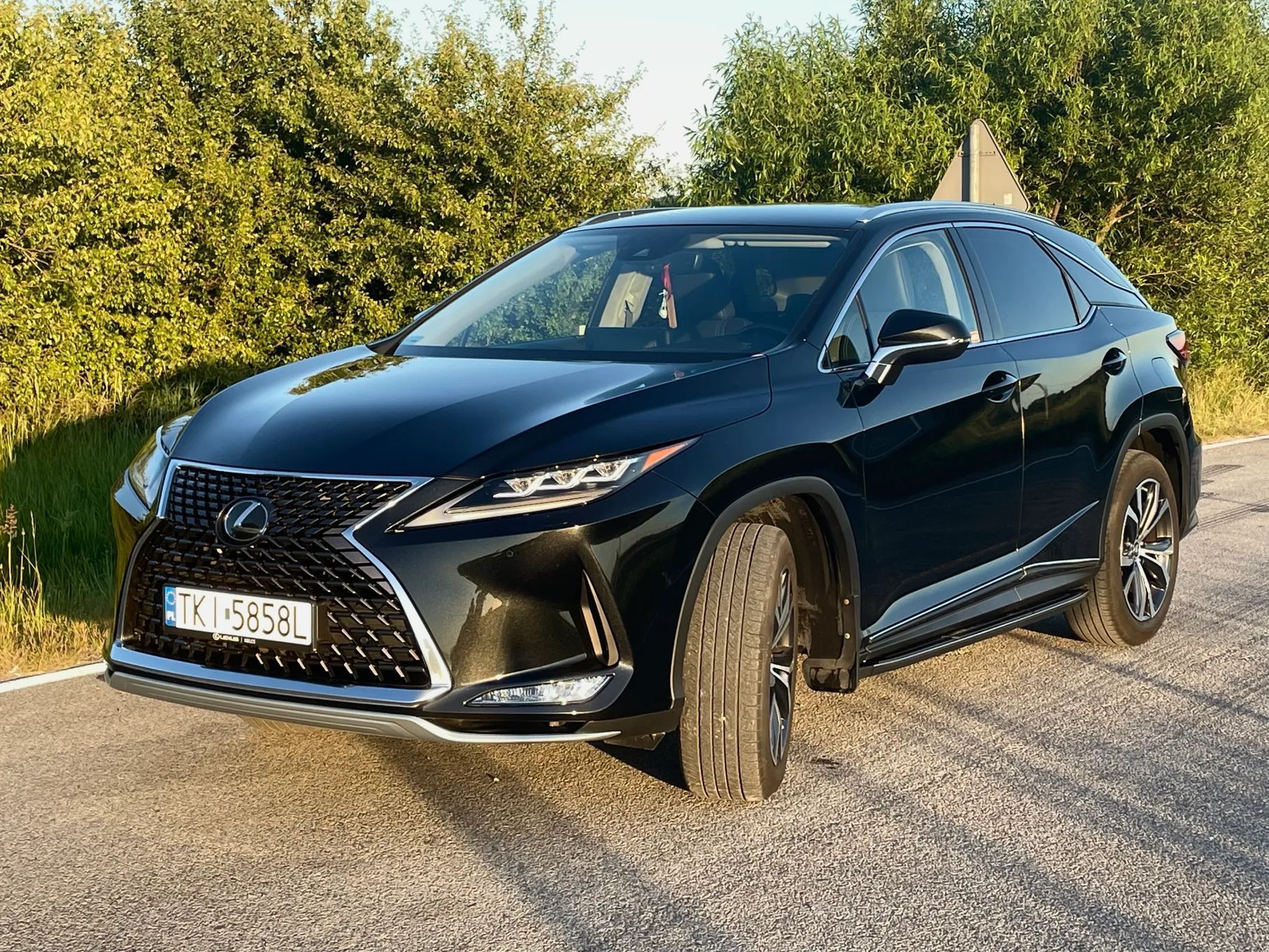 Lexus RX LEXUS RX 300 Business Edition +