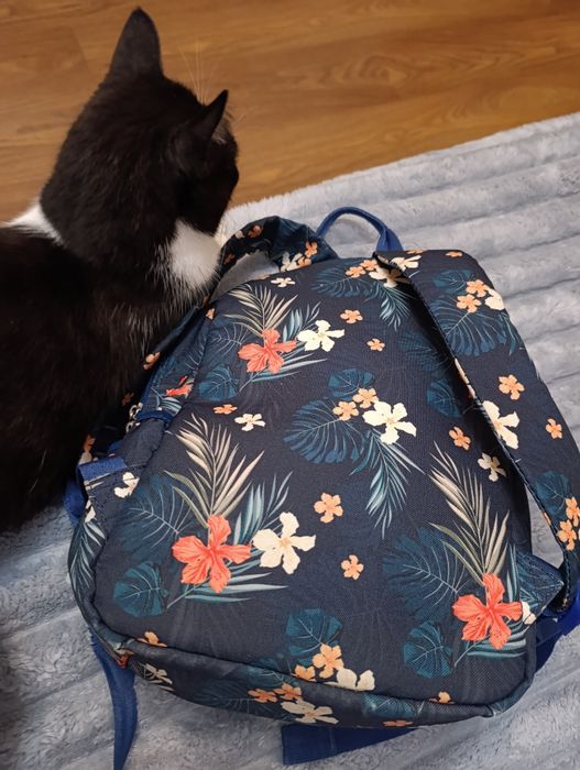 Рюкзак для девочки от 6 до 11 лет