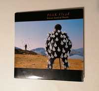 Pink Floyd - Vinil - Delicate Sound of Thunder