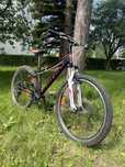 Rower dla dziecka - kross lea f1