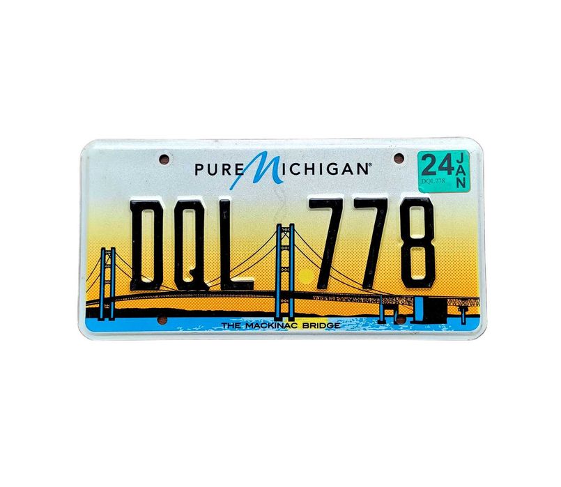 Michigan 2024 - oryginalna tablica rejestracyjna z USA