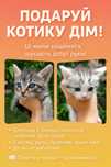 Безкоштовно! весловухі і прямовухі кошеняти
