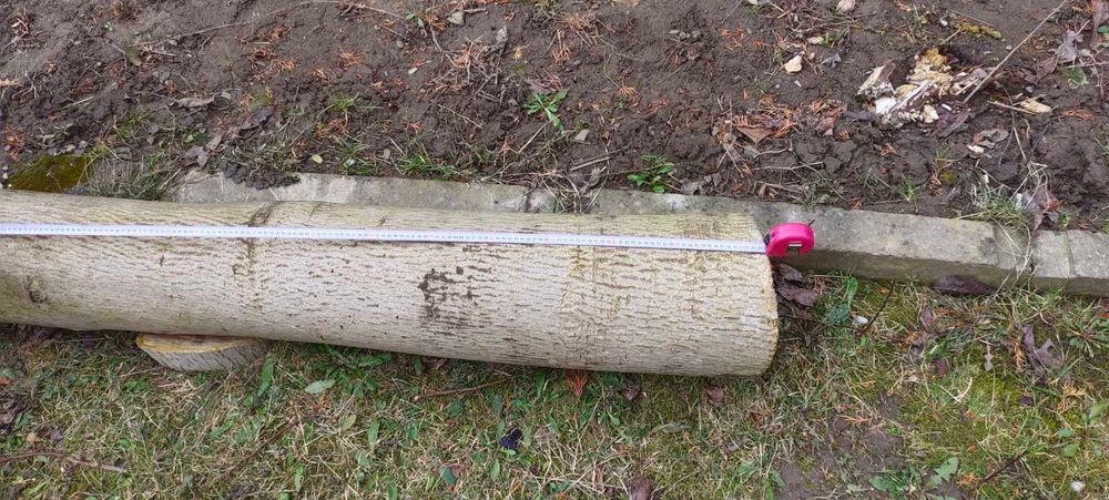 Горіх кругляк, брус липи, сухий