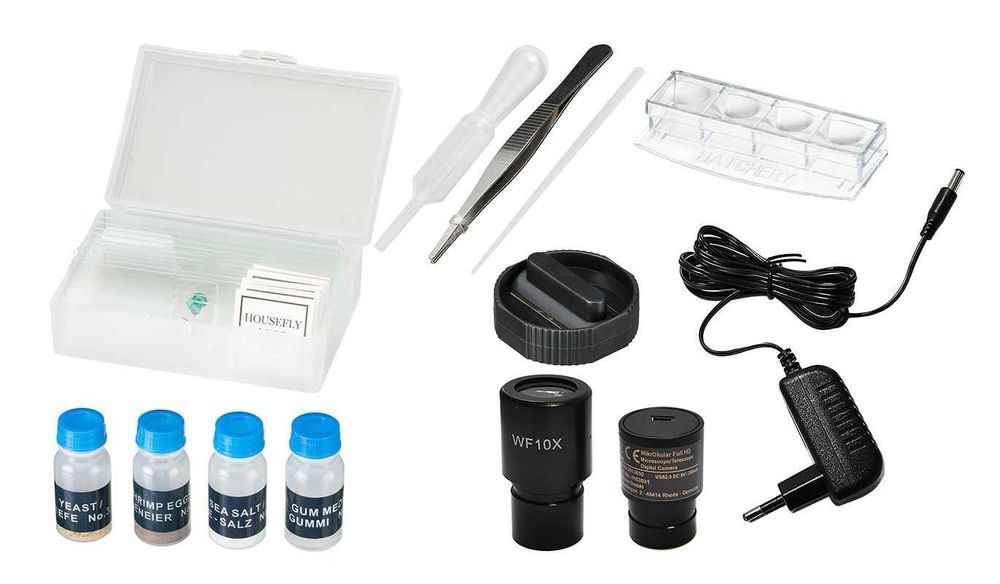 Mikroskop-Sagittarius-SCHOLAR 303, 40x-640