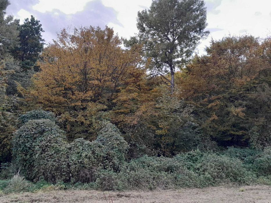 Piękna widokowa działka na przedmieściu Bieszczad