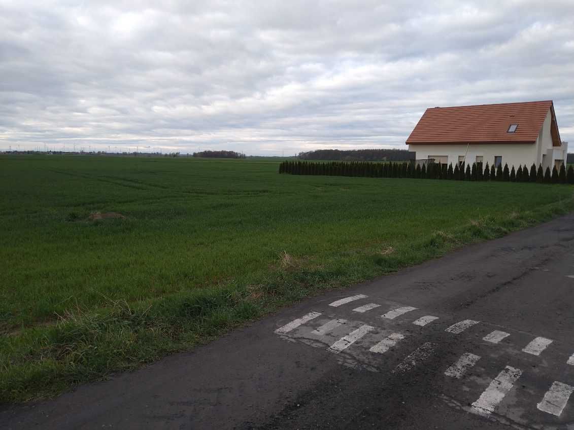 Działka budowlana Brzeg Grodków Oława Wiązów