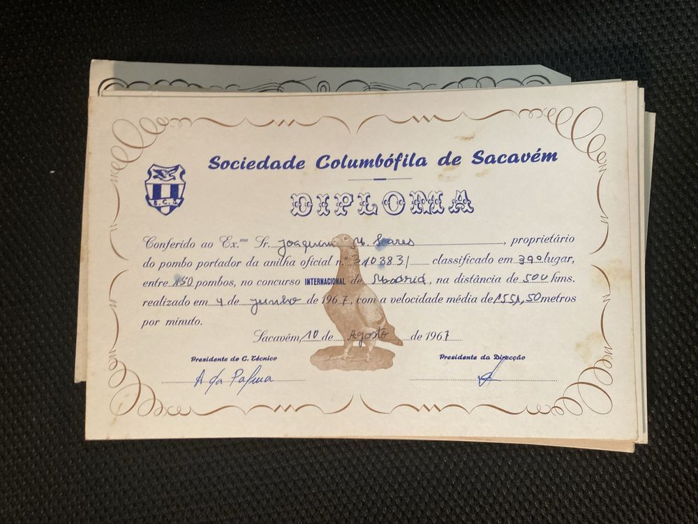 60 Diplomas Sociedade Columbófila Sacavém