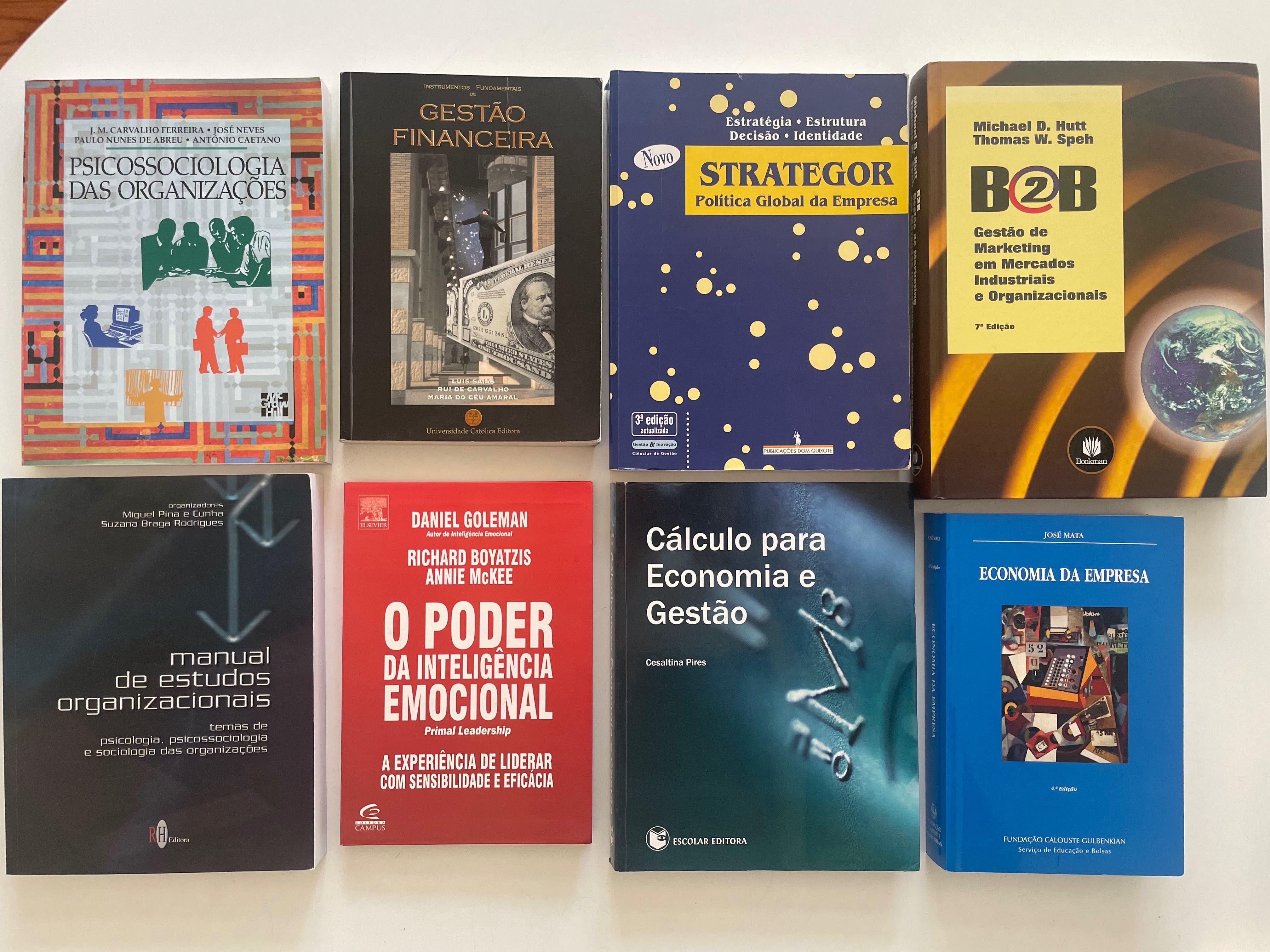 Gestão, estratégia, marketing e finanças empresarial.