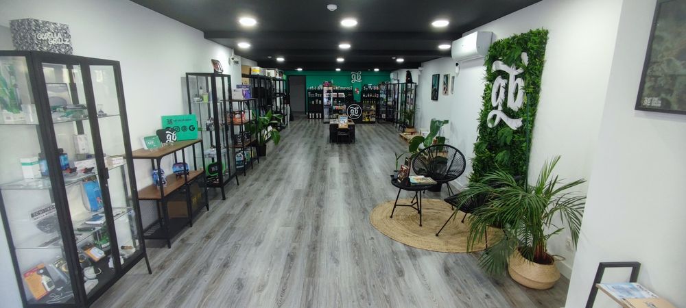 Oportunidade de Negócio / Trespasse de loja no centro de Lisboa