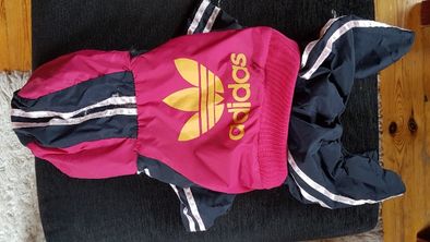 Ubranko Wdzianko dla Pupila Psa Adidas