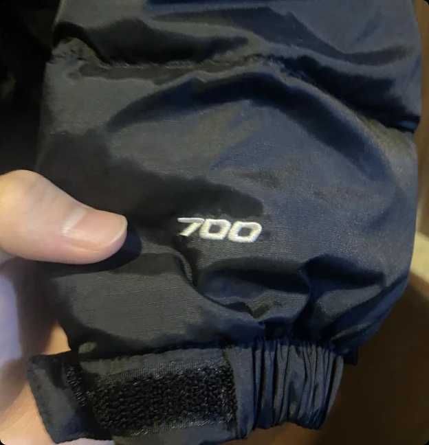 Kurtki zimowe_TheNorthFace_700 damski ASIA.M