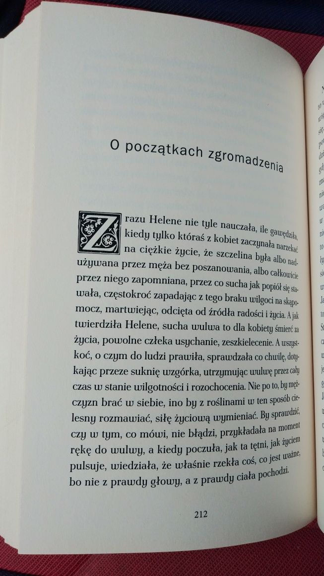 Agnieszka Szpila - Heksy / książka