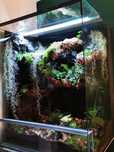 Terrarium tropikalne 40x40x60 gekon orzęsiony jaszczurka