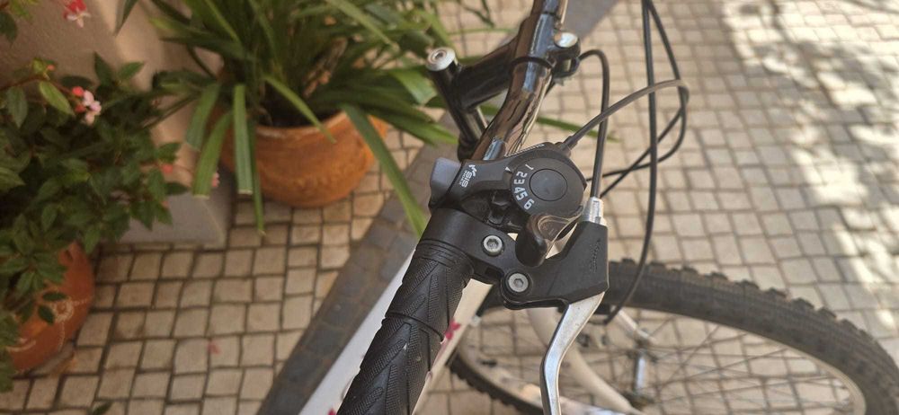 Bicicleta Venus roda 20
