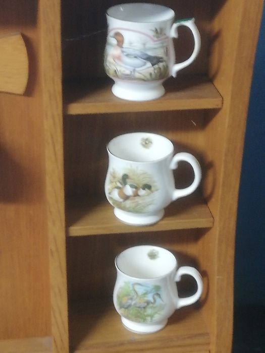 Regal z drzewa z kubkami porcelanowymi