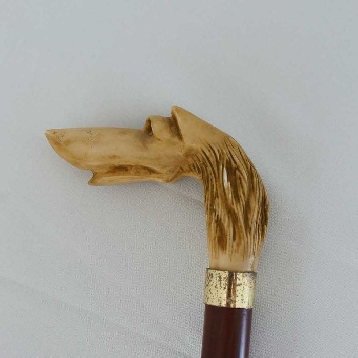 Bengala "Cabeça de Galgo"