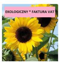 Słonecznik ozdobny  EKOLOGICZNY nasiona faktura - certyfikat EKO