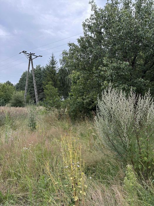 Dom na Jurze z dużą działką