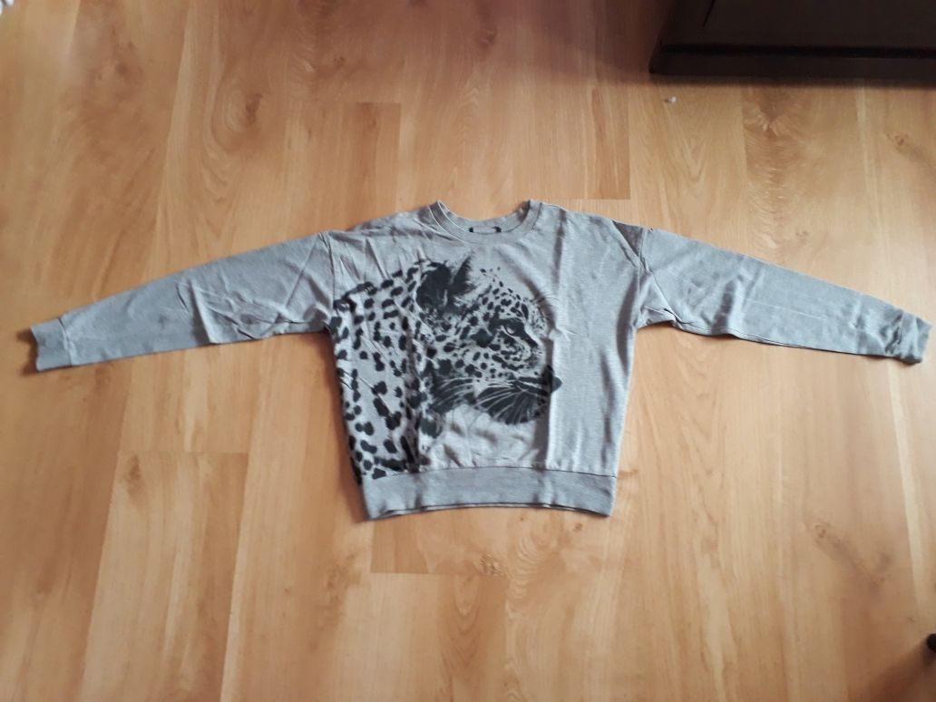 Bluza szara z dzikim kotem r.146