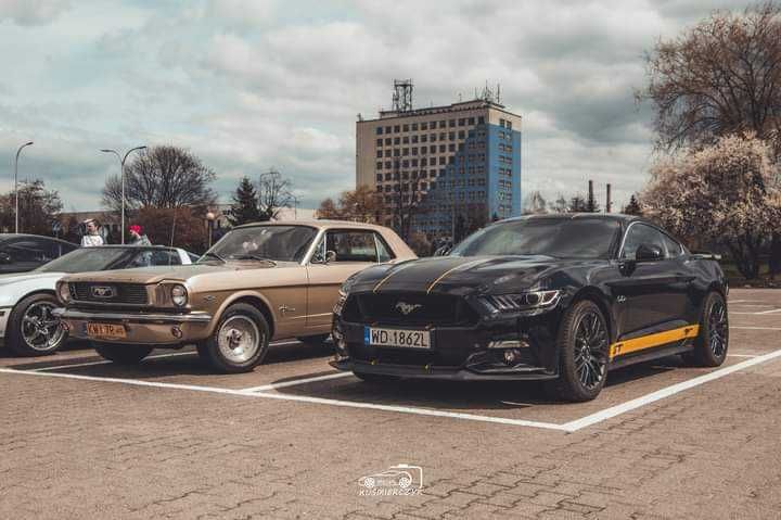 Samochód Mustang stary zabytkowy 1966r  do ślubu ślub Oświęcim