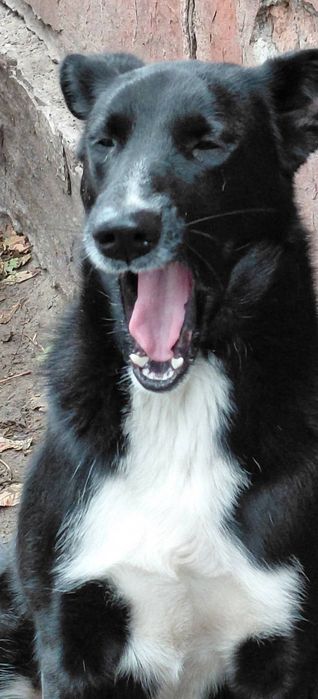 В добрі ручки гарна дівчинка.