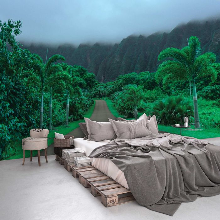 Fototapeta Droga w Dżungli Las Tropik Na Ścianę 3D Twój Rozmiar + KLEJ