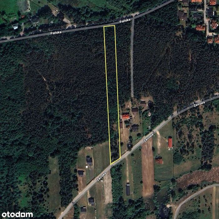 Wyjątkowa działka budowlana z lasem - Augustówek / Dębina