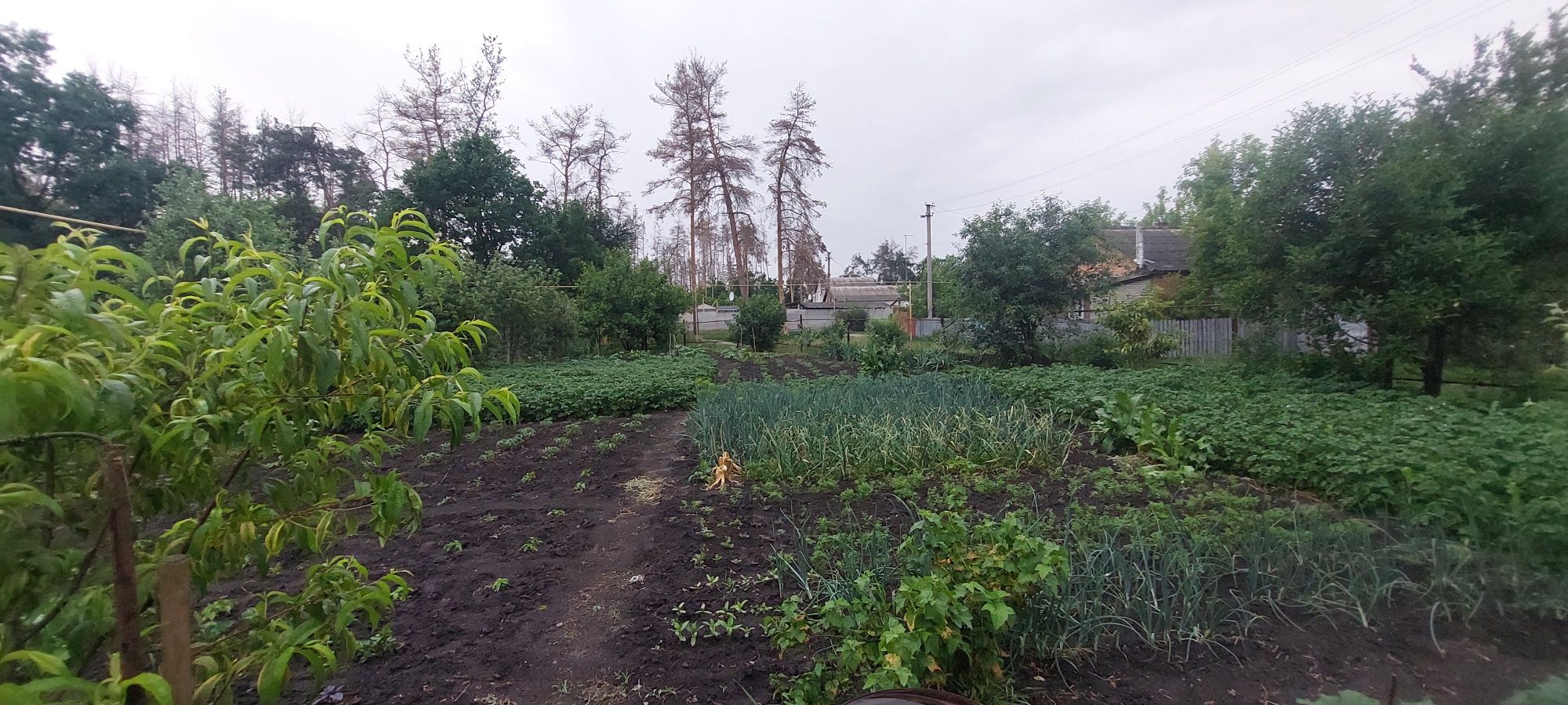 Продам дом в Солоницевке (п.Пересечное)