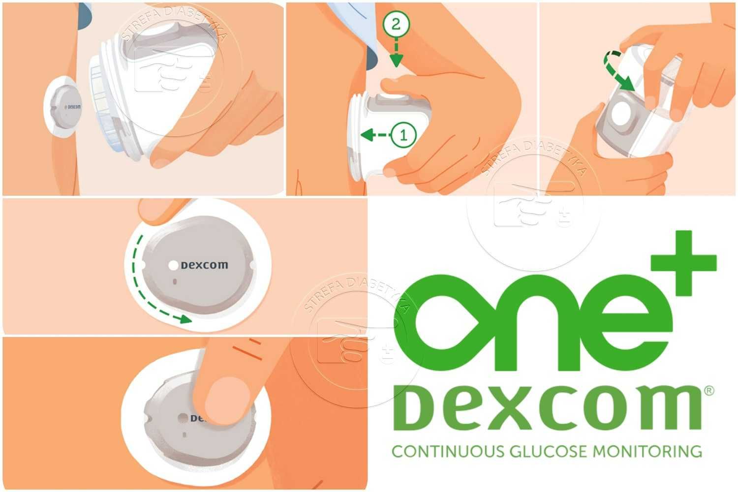 4 x Sensor – DEXCOM ONE PLUS z PLASTREM + Aplikator + GRATIS