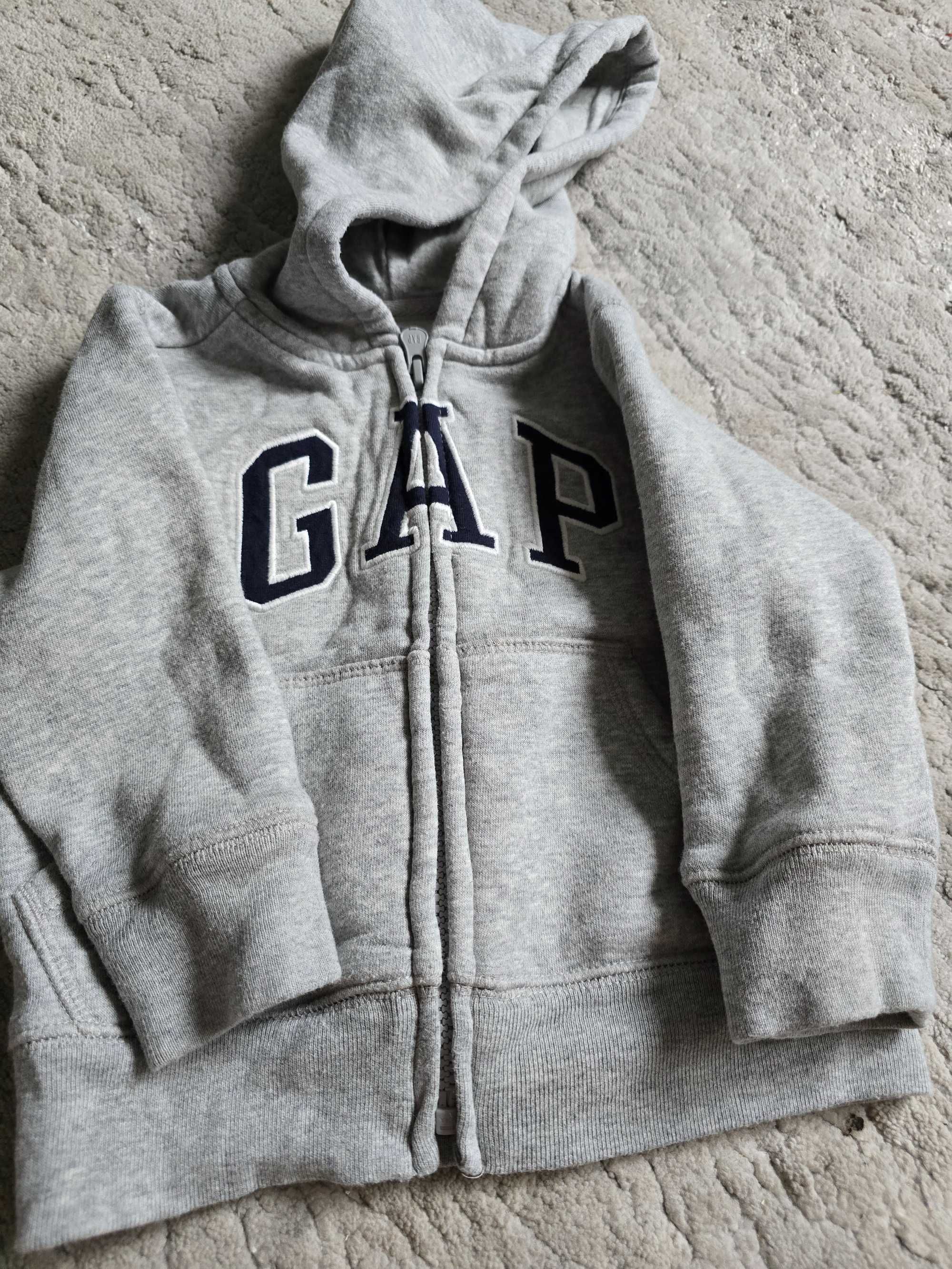 Bluza GAP 18-24 msc