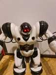 Robot zdalnie sterowany