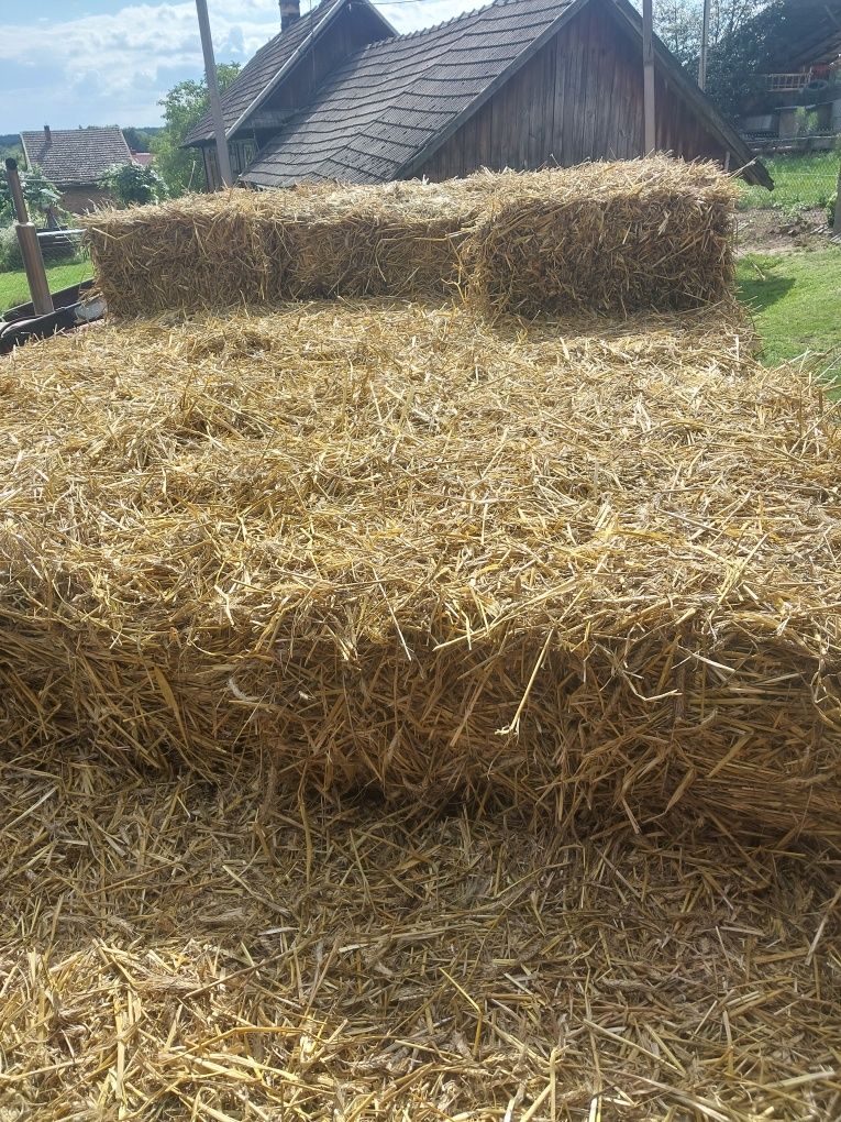 Słoma w kostkach 2025