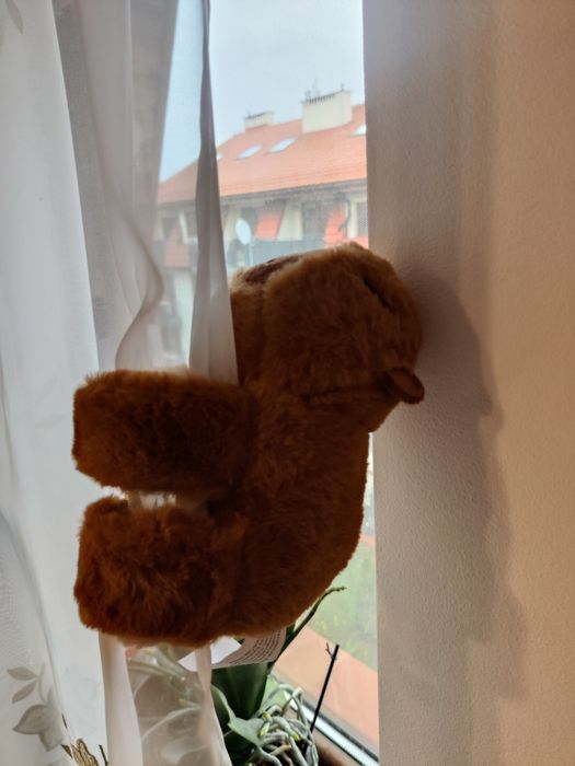 Maskotka, zabawka - Kapibara