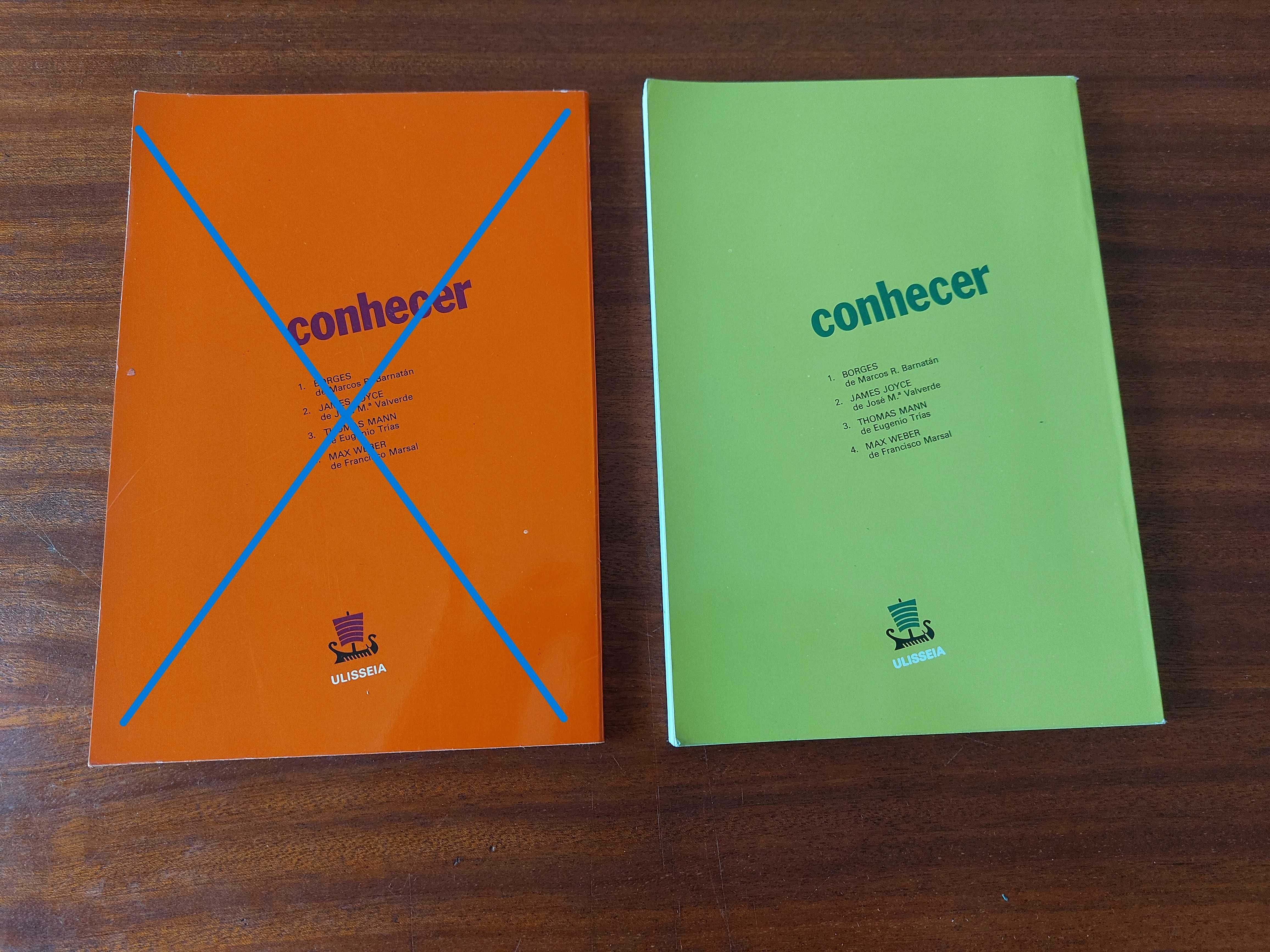 Livro "Conhecer Borges" por Marcos Ricardo Barnatán