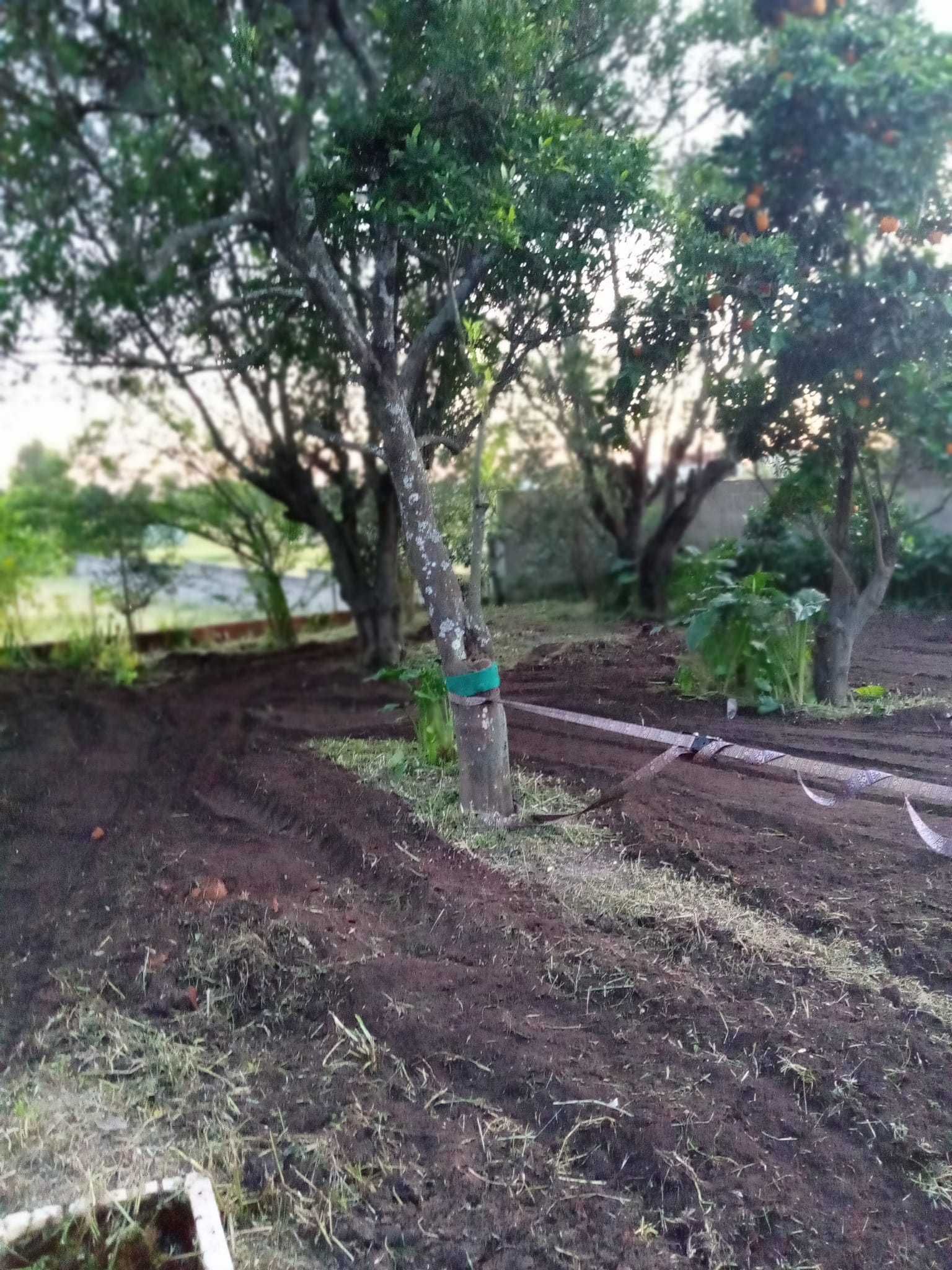 Limpeza de terrenos agrícolas florestais hortícolas jardins aceiros.